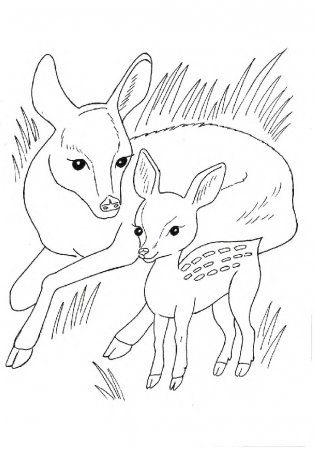 Детская раскраска про диких животных с образцом